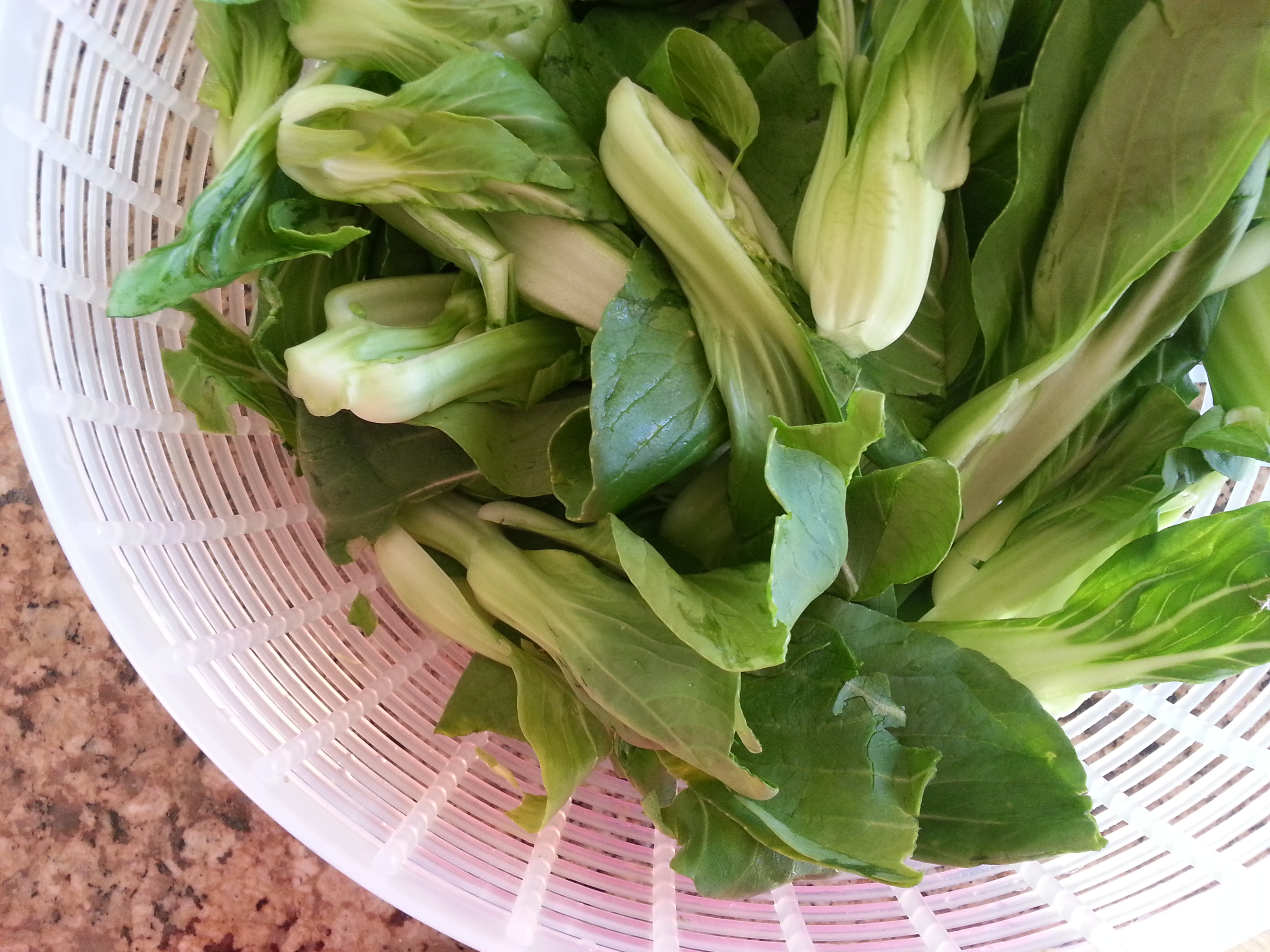 Asian Braised Short Ribs with Bok Choy | Cookin' It Real
